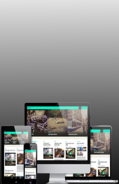 Newsletter Vertical prypix online marketplace